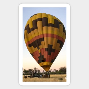 Early morning hot air balloon safari Sticker